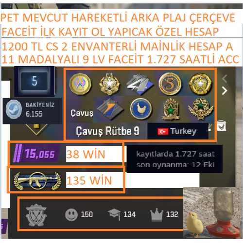 11 MADALYALI 9 LV FACEİT 1200 TL CS 2 ENVANTERLİ 1.727 SAATLİ MAİLLİ