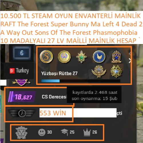  10 MADALYALI 27 LV A Way Out RAFT Sons Of The Forest 10.500 TL STEAM