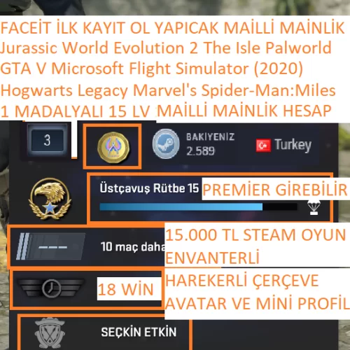  1 MADALYALI 15 LV GTA V Hogwarts Legacy Microsoft Flight Simulator