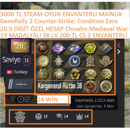  19 MADALYALI 38 LV 20.9 YIL DİGİT 200 TL CS 2 ENVANTERLİ 2.923 SAATLİ