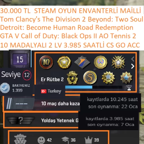  10 MADALYALI 3.985 CS 2 SAATLİ GTA V Call of Duty:Black Ops II Detroit