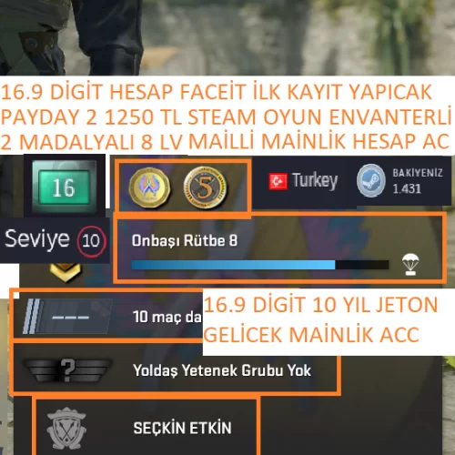  2 MADALYALI 8 LV 16.9 YIL DİGİT PAYDAY 2 1250 TL STEAM OYUN