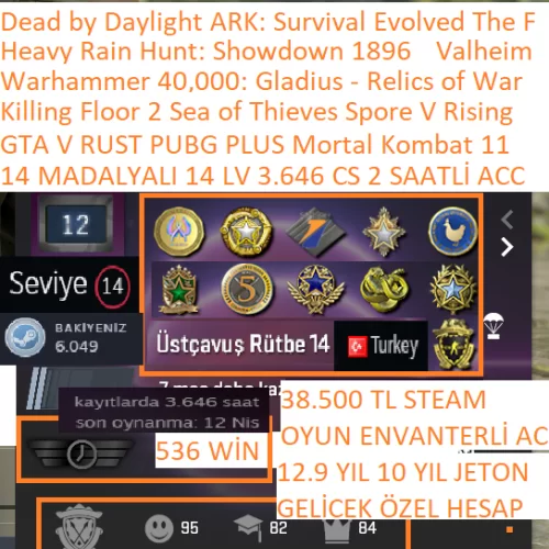  14 MADALYALI 14 LV 3.646 CS 2 SAATLİ GTA V RUST PUBG PLUS SPORE