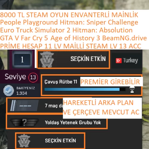  PRİME HESAP 11 LV GTA V Far Cry 5 ETS 2 BeamNG.drive Hitman: Absolution