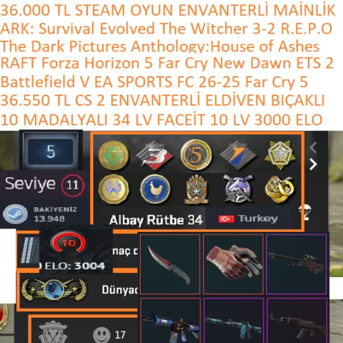  10 MADALYALI 34 LV FACEİT 10 LV 36.550 TL CS 2 ENVANTERLİ EA SPORTS