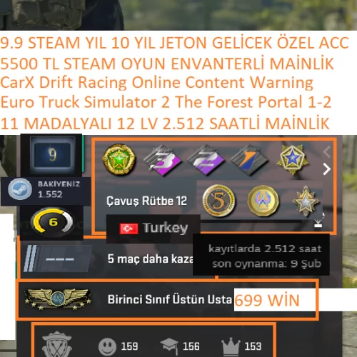  11 MADALYALI 12 LV 2.512 SAATLİ ETS 2 The Forest Portal 1-2 5500 TL STEAM