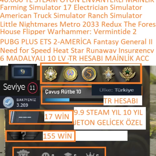  6 MADALYALI 10 LV TR HESABI PUBG PLUS NFS HEAT Star Runaway