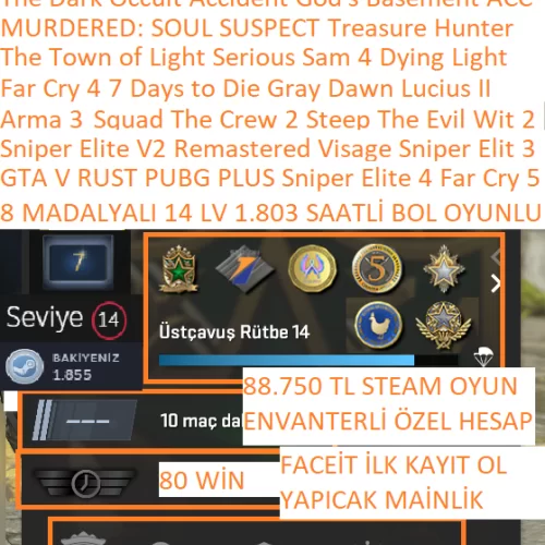  8 MADALYALI 14 LV GTA V RUST PUBG PLUS FAR CRY 5-4 Squad ARMA 3 Steep