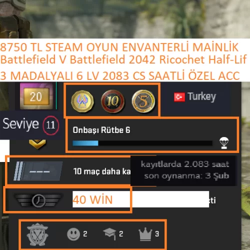  3 MADALYALI 6 LV Battlefield V Battlefield 2042 Ricochet 8750 TL STEAM OYUN