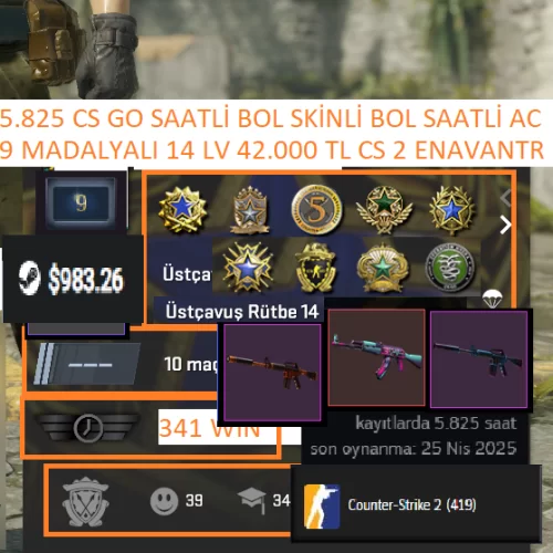  9 MADALYALI 14 LV 42.000 TL STEAM OYUN ENVANTERLİ 5.825 SAATLİ