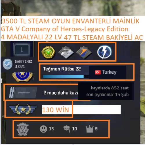  4 MADALYALI 22 LV GTA V Company of Heroes-Legacy Edition