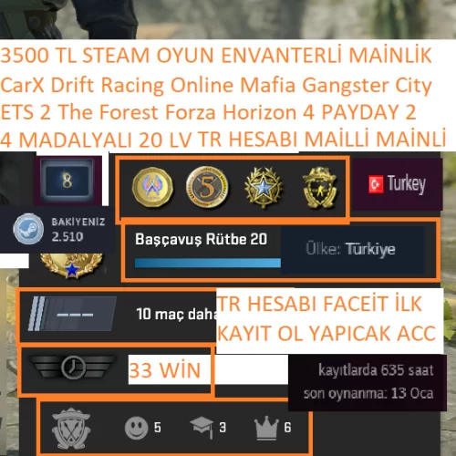  4 MADALYALI 20 LV TR HESABI ETS 2 Forza Horizon 4 3500 TL STEAM OYUN