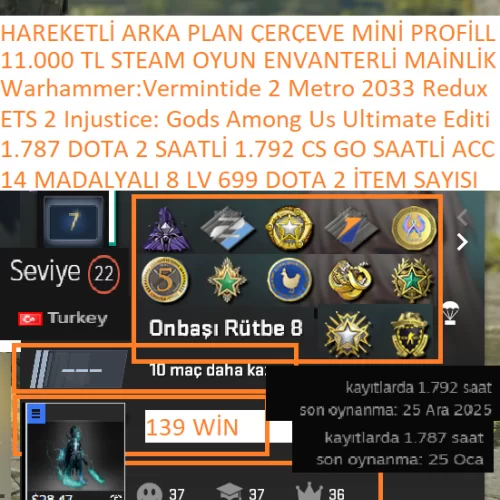  14 MADALYALI 8 LV ARCANA Manifold Paradox 699 İTEM DOTA 2 ETS 2