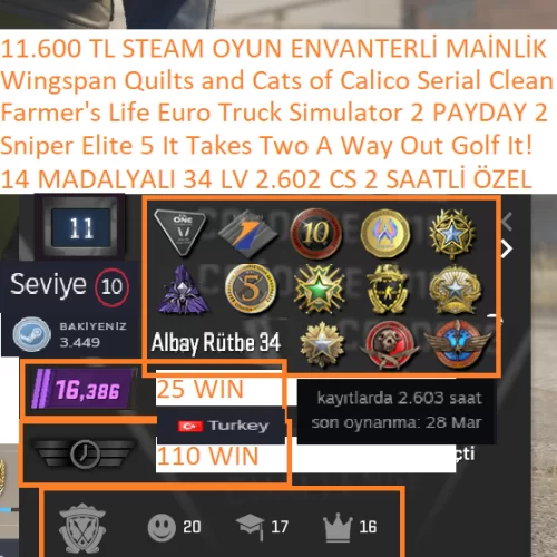  14 MADALYALI 34 LV 2602 CS 2 SAATLİ Sniper Elite 5 A Way Out It Takes Two