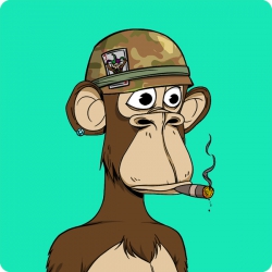 lolunrankedstore Avatar